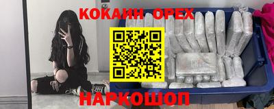 гидропоника Заводоуковск